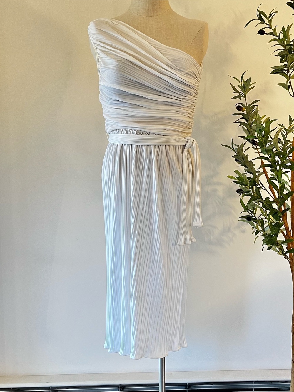 Rare 70s Vintage Climax by David Howard Pleated Grecian Goddess Dress